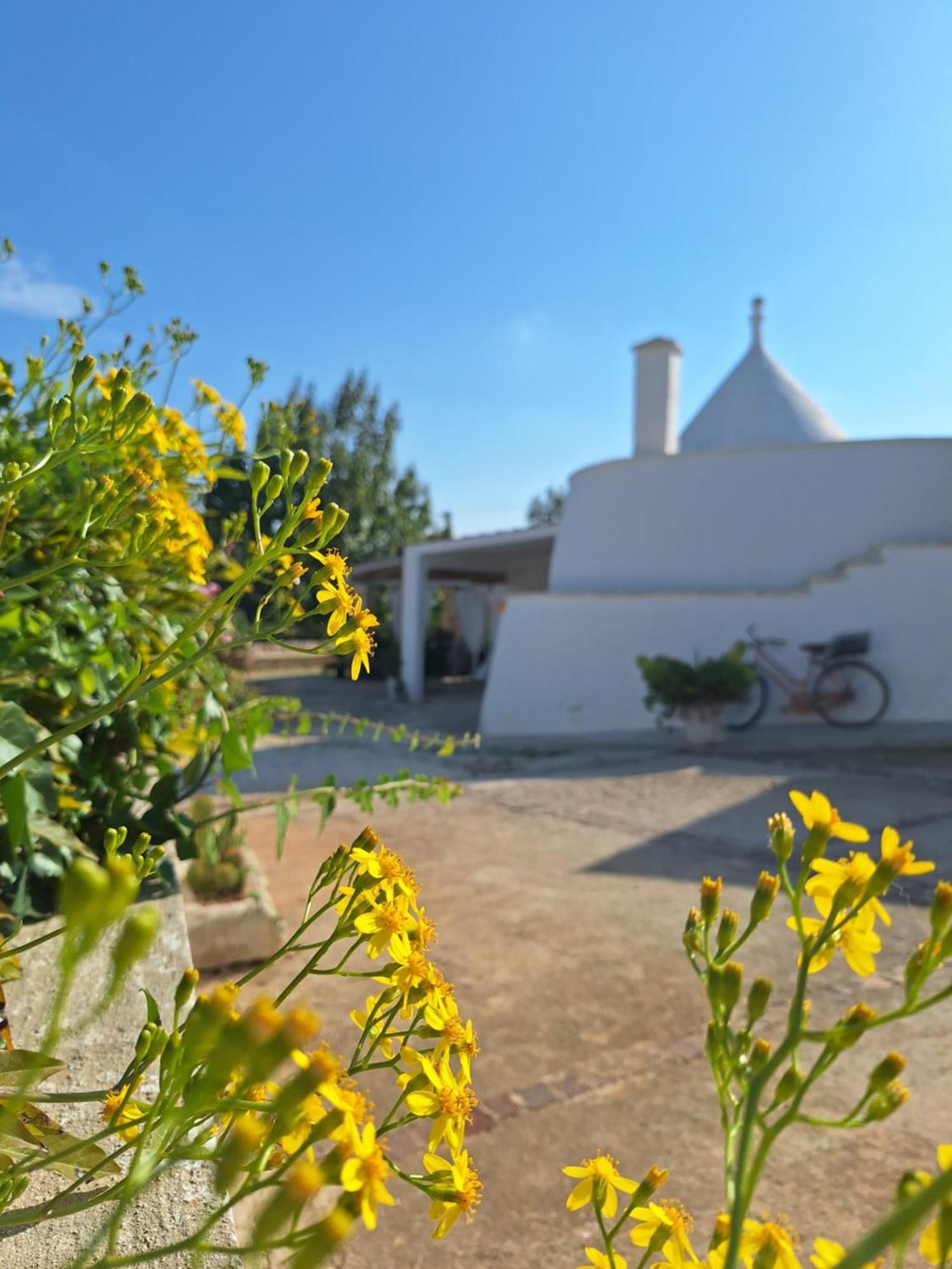 أوستوني Holiday Home Trullo Antico المظهر الخارجي الصورة