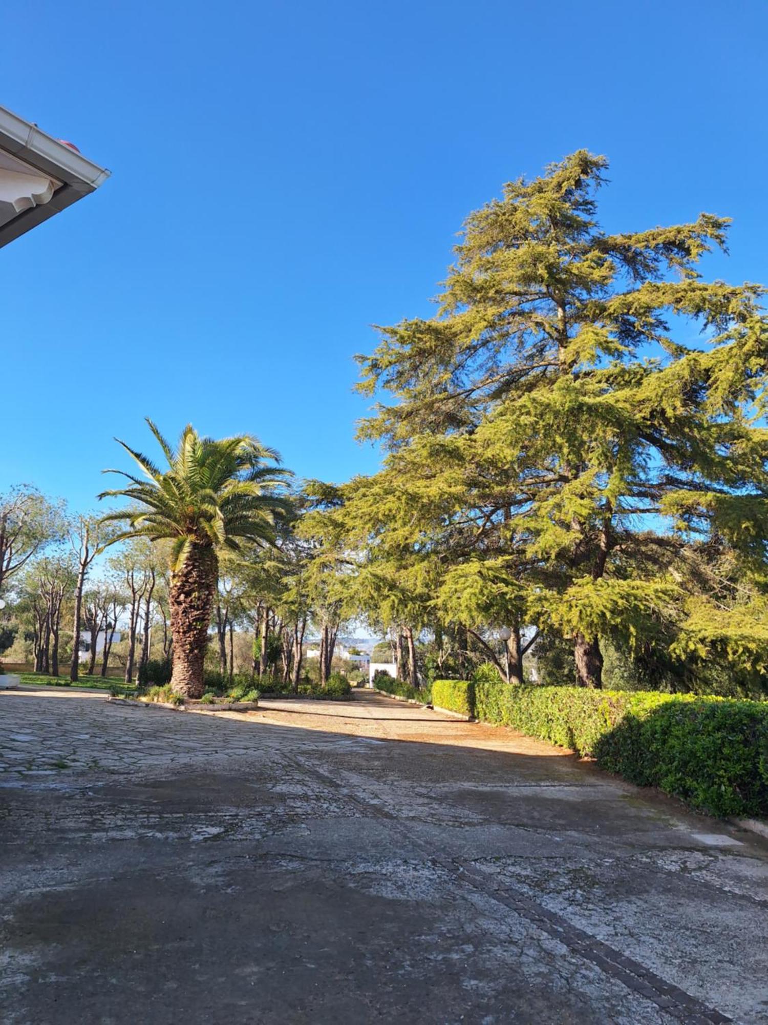 أوستوني Holiday Home Trullo Antico المظهر الخارجي الصورة