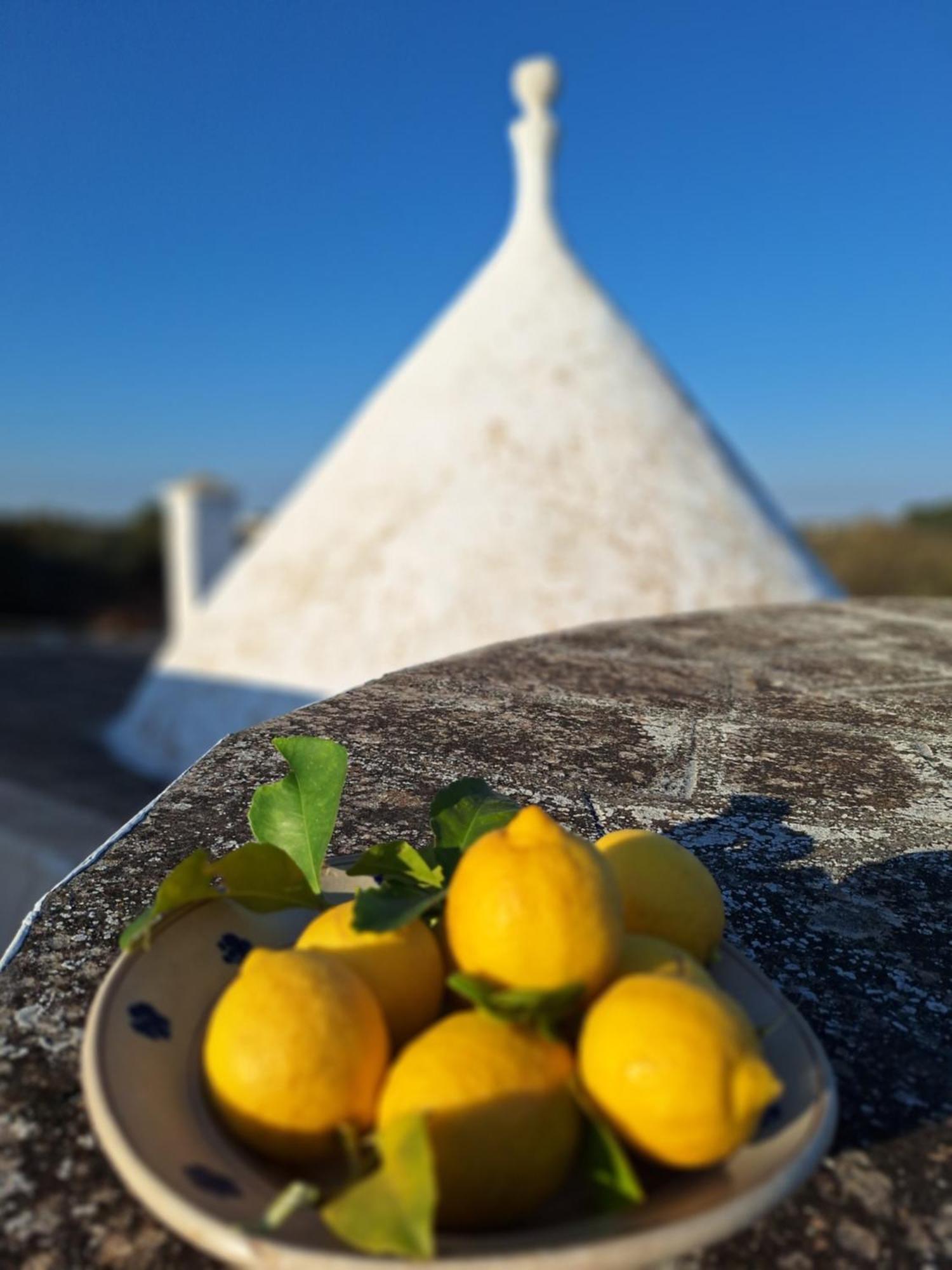 أوستوني Holiday Home Trullo Antico المظهر الخارجي الصورة